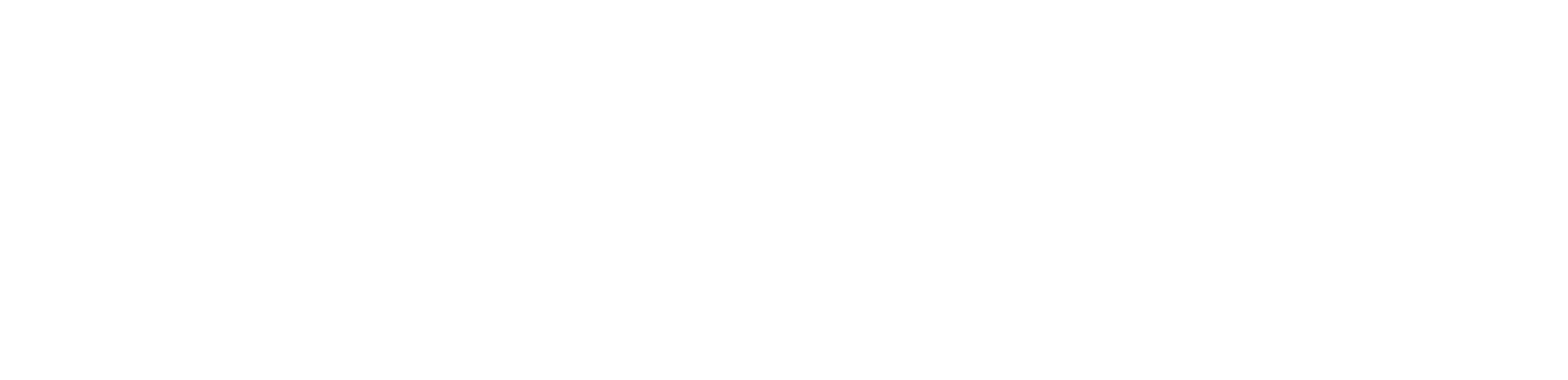 Logo PubStore